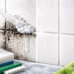 Crna plijesan će nestati sa fuga pločica unutar 10 minuta nakon nanošenja ove otopine crna-plijesan-ce-nestati-sa-fuga-plocica-unutar-10-minuta.png