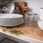 Zašto iskusne domaćice zabranjuju stavljanje mokrog posuđa u ormar zasto-iskusne-domacice-zabranjuju-stavljanje-mokrog-posuda-u-ormar.png