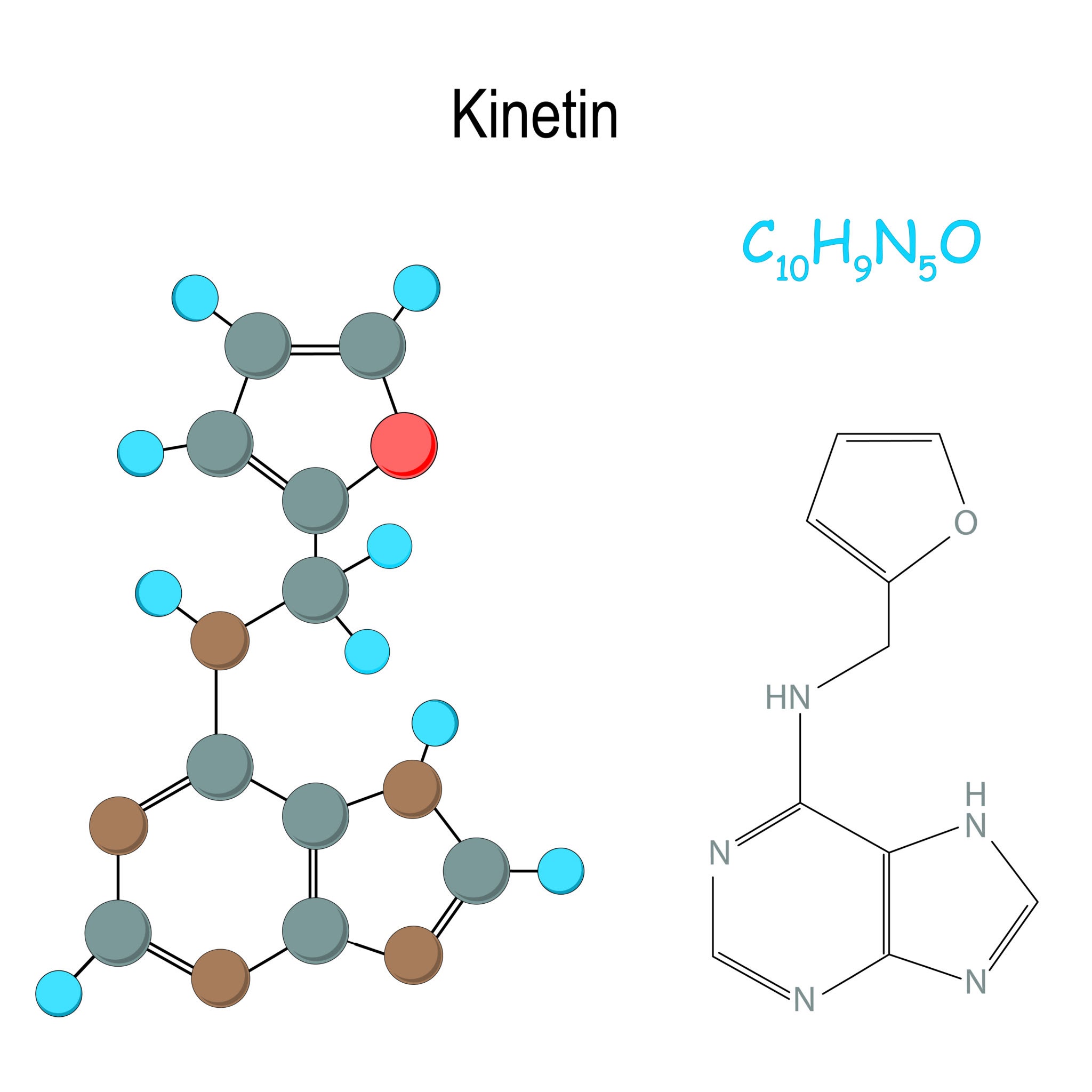 Hình ảnh về molekularna struktura lignina